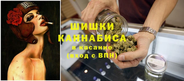 дживик Нефтегорск