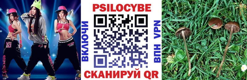 omg   Ишим  Псилоцибиновые грибы Psilocybine cubensis 