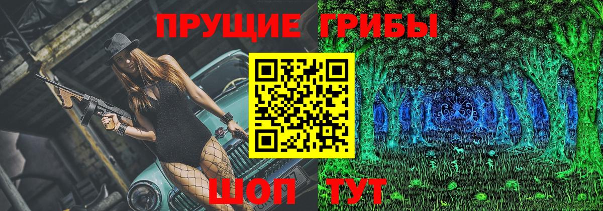 Ишим  Псилоцибиновые грибы Cubensis  даркнет сайт  Псилоцибиновые грибы прущие грибы  Вход с VPN 