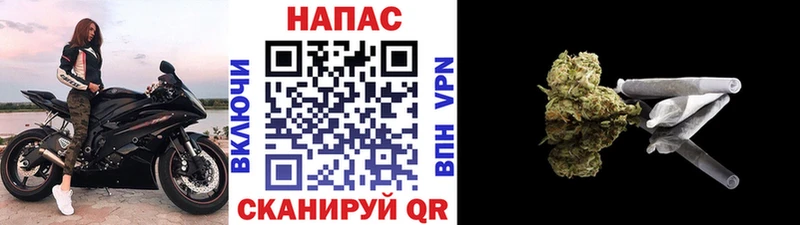 Канабис планчик  что такое наркотик  Ишим 